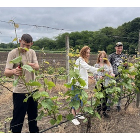 Н1 Агрономія 