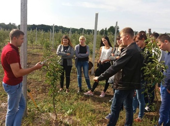 Практичне заняття з плодівництва