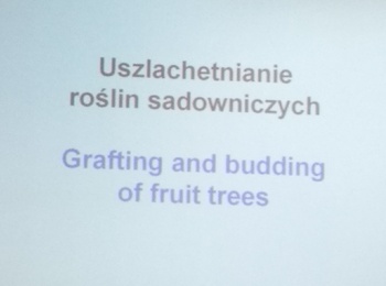 Практичне заняття з плодівництва для студентів Вроцлавського університету