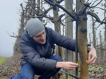 Сучасні садівничі технології в 