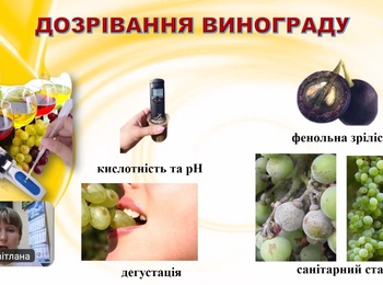 Сучасні методи досліджень у виноградарстві: нові знання для науково-педагогічної діяльності
