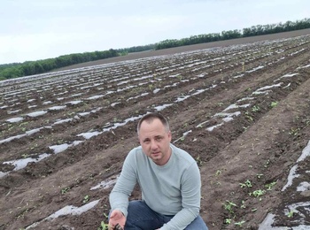 Наукова робота аспіранта кафедри овочівництва
