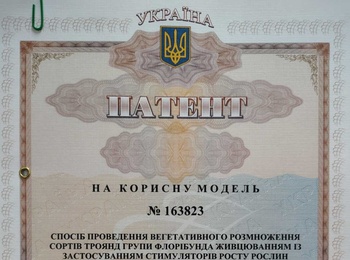 Реєстрація патенту на корисну модель: «Спосіб проведення вегетативного розмноження сортів троянд групи флорібунда живцюванням із застосуванням стимуляторів росту рослин»